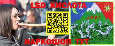 гашик Будённовск