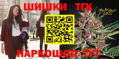 гашик Будённовск