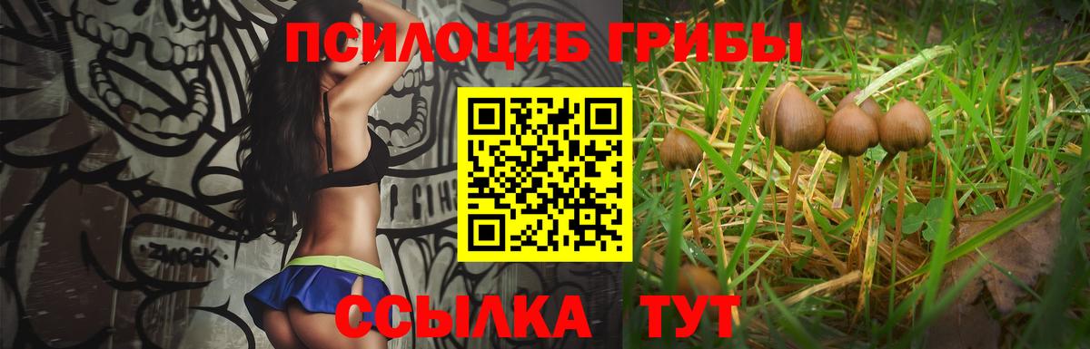 Похвистнево  Галлюциногенные грибы MAGIC MUSHROOMS  Вход с VPN  Псилоцибиновые грибы Cubensis 